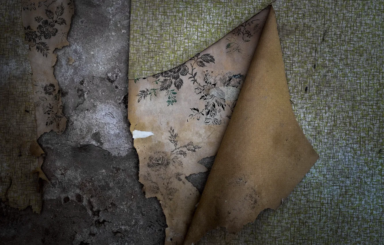 Wallpaper background, wall, Wallpaper images for desktop, section ...