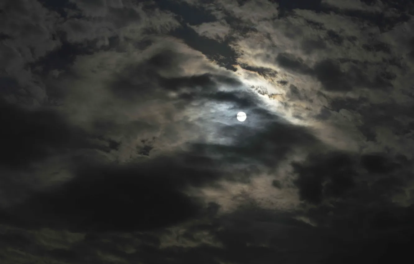 Photo wallpaper sun, lighte, darknes