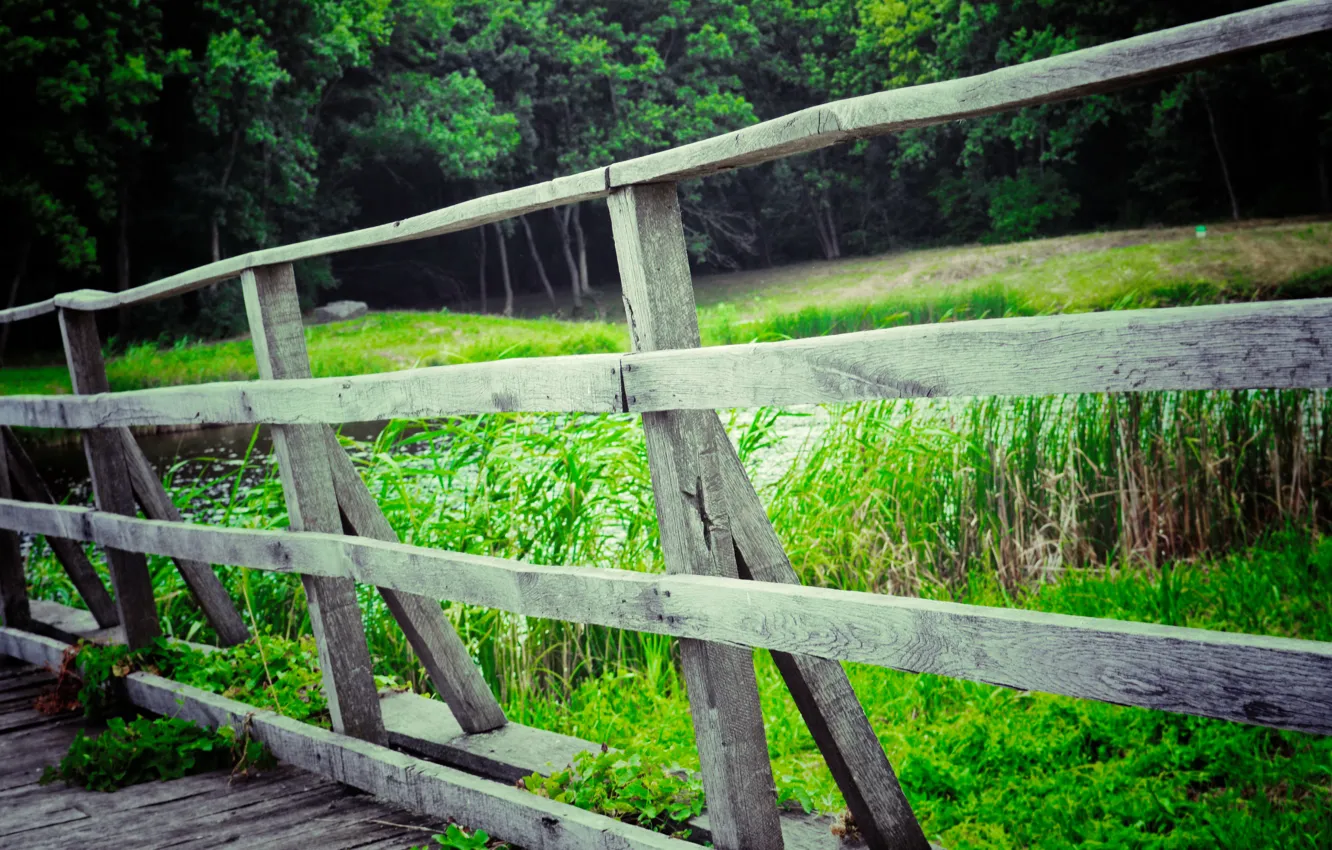 Photo wallpaper river, landscape, bridge, Ukraine, Forrest Park