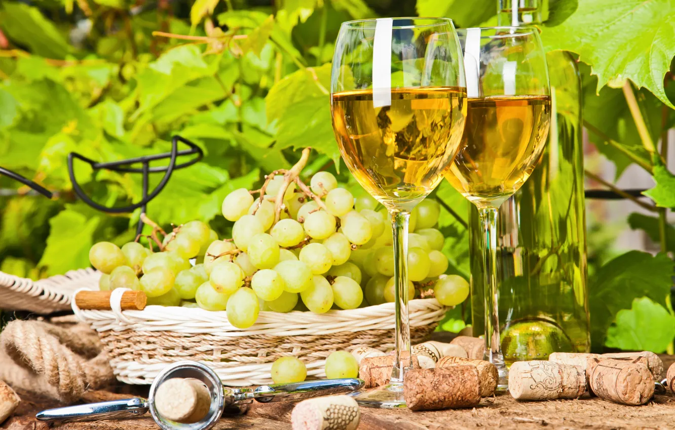 Photo wallpaper basket, grapes, tube, corkscrew, white wine