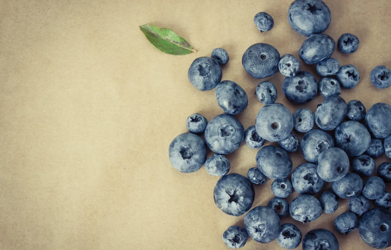 Photo wallpaper berries, leaf, food, blueberries