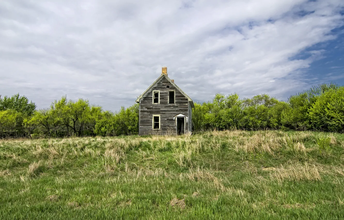 Photo wallpaper field, landscape, home