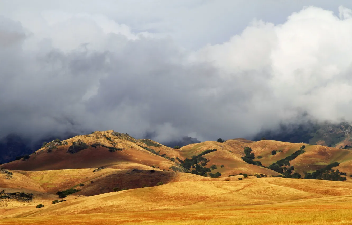 Photo wallpaper field, clouds, mountains, hills, shadow, sunlight