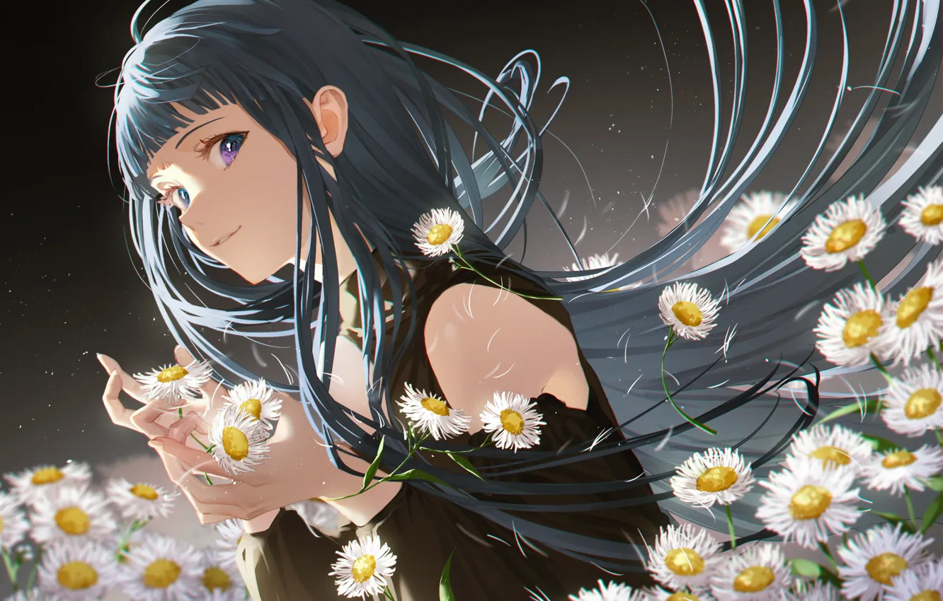 Photo wallpaper look, girl, chamomile, anime, art, Champi