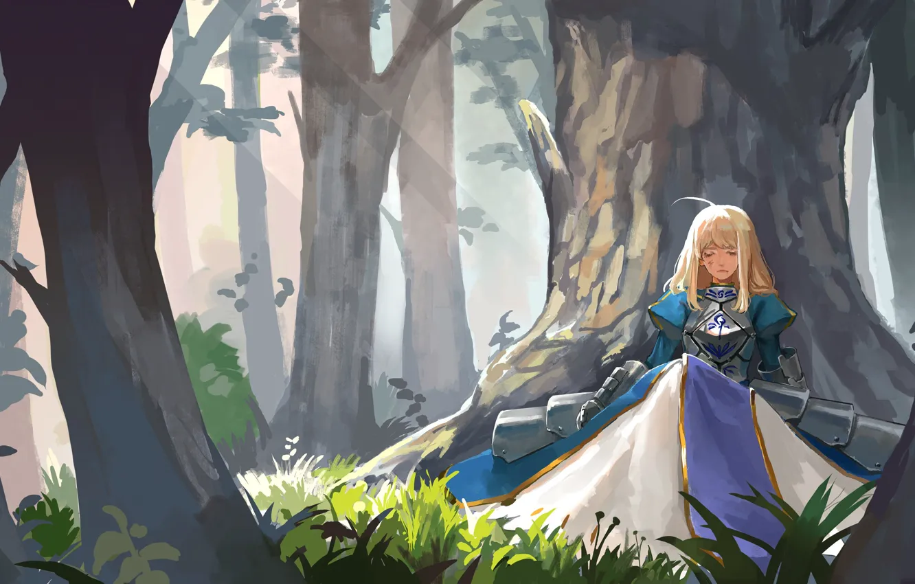 Photo wallpaper forest, girl, knight, the saber, Fate / Stay Night