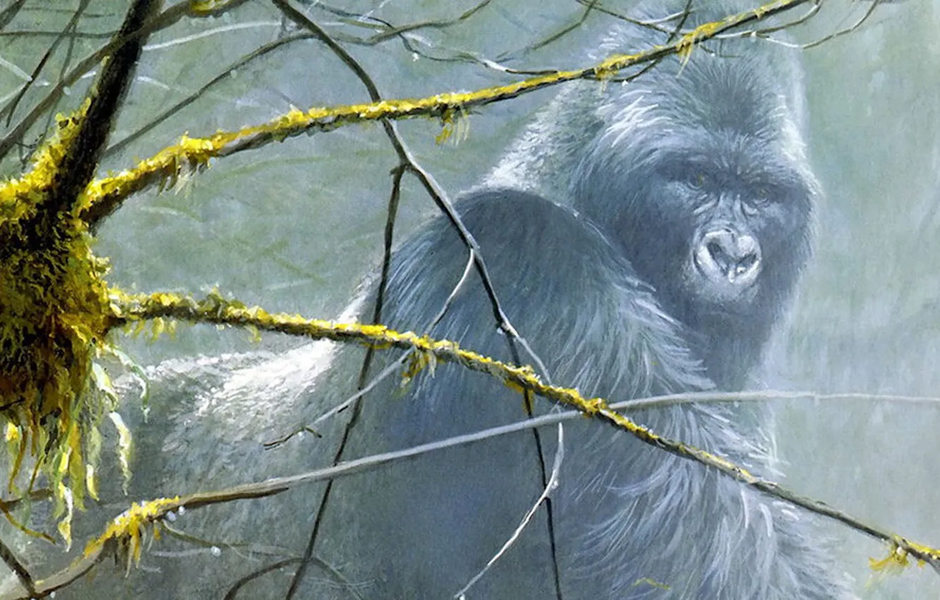 Photo wallpaper figure, art, monkey, gorilla, the primacy of