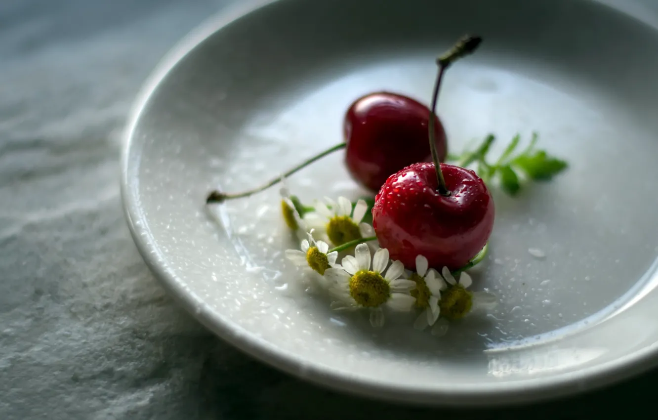 Photo wallpaper cherry, berries, chamomile