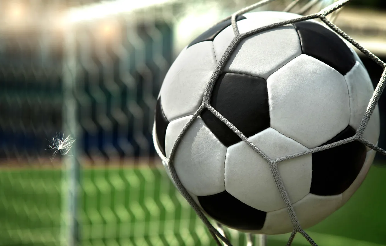 Photo wallpaper football, gate, The ball, goal