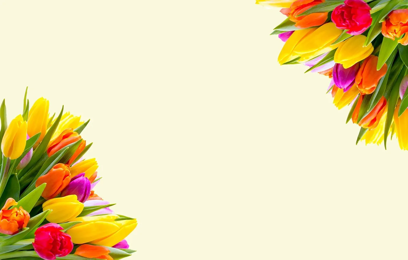 Photo wallpaper collage, Wallpaper, tulips