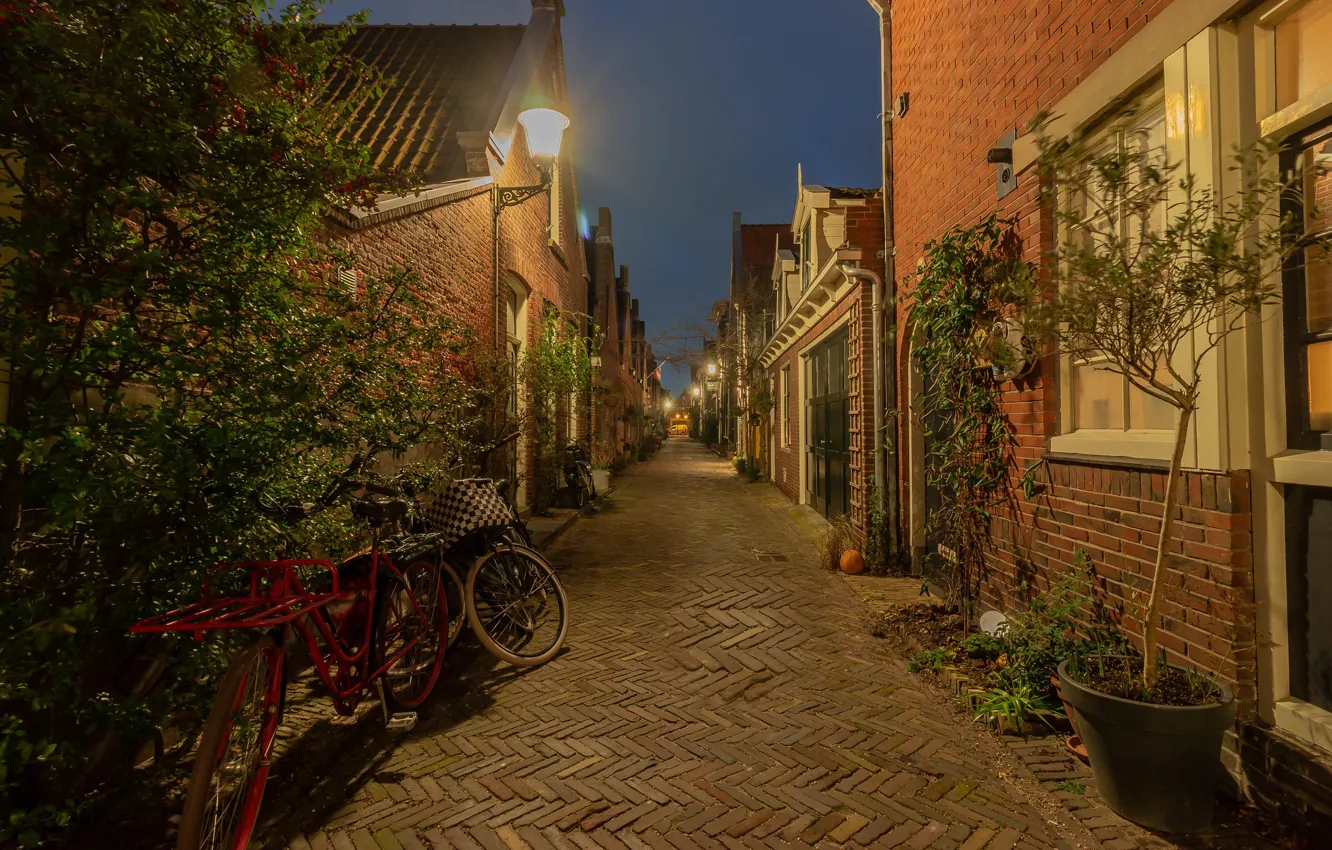Photo wallpaper lights, street, the evening, Netherlands, Holland, Alkmaar