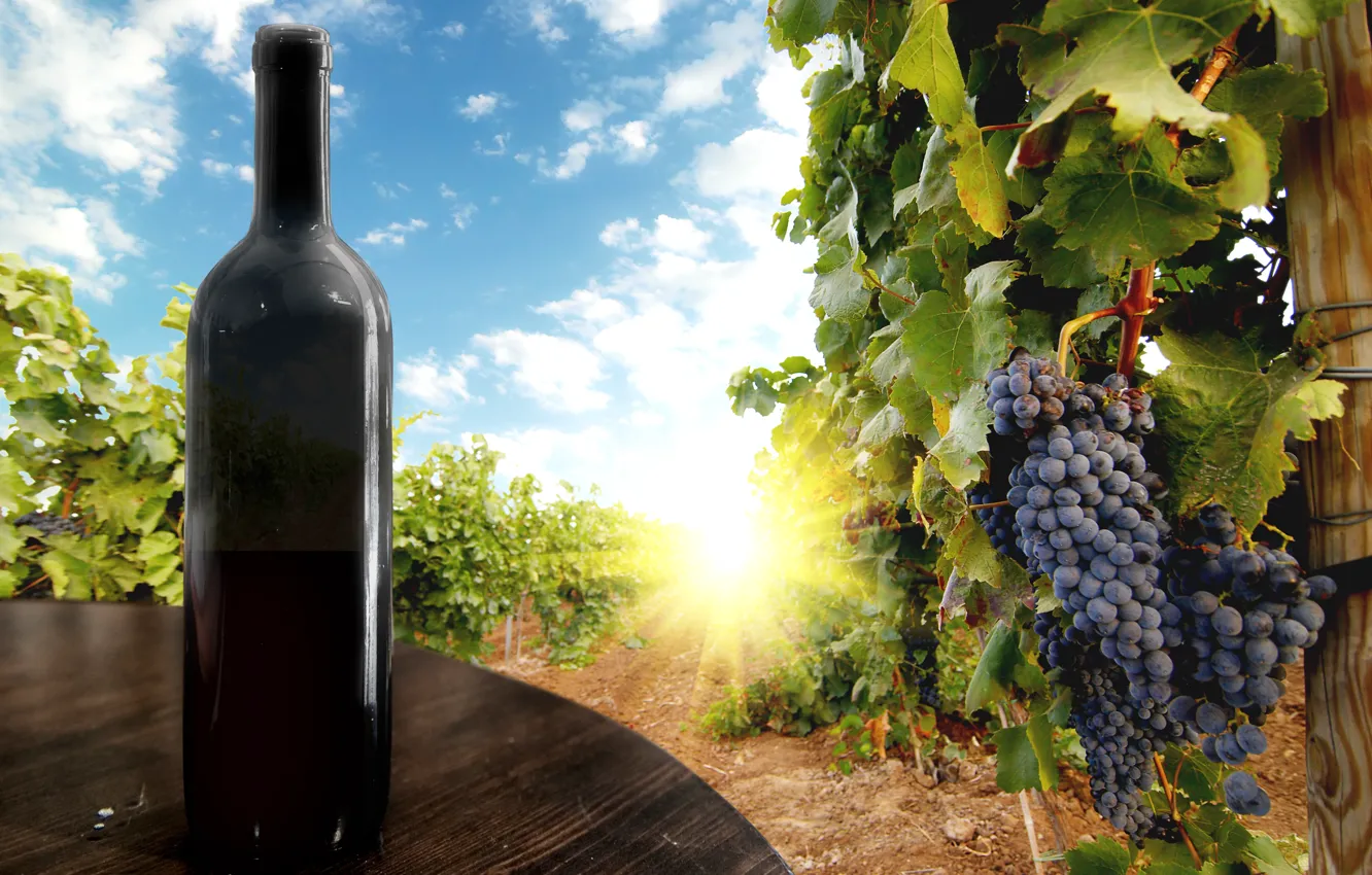 Photo wallpaper the sky, leaves, the sun, clouds, berries, table, wine, black
