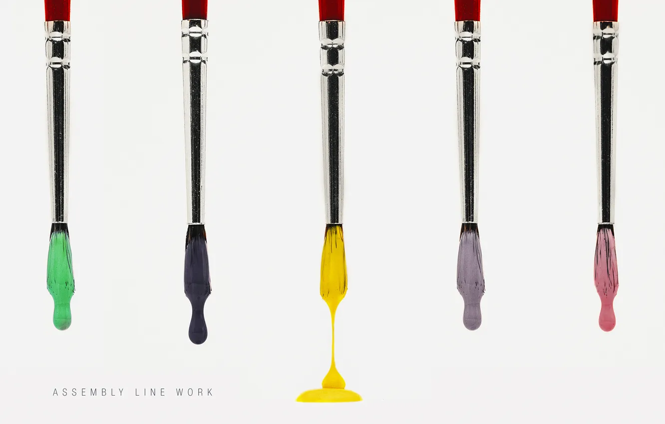 Photo wallpaper paint, photographer, brush, photography, photographer, Björn Wunderlich