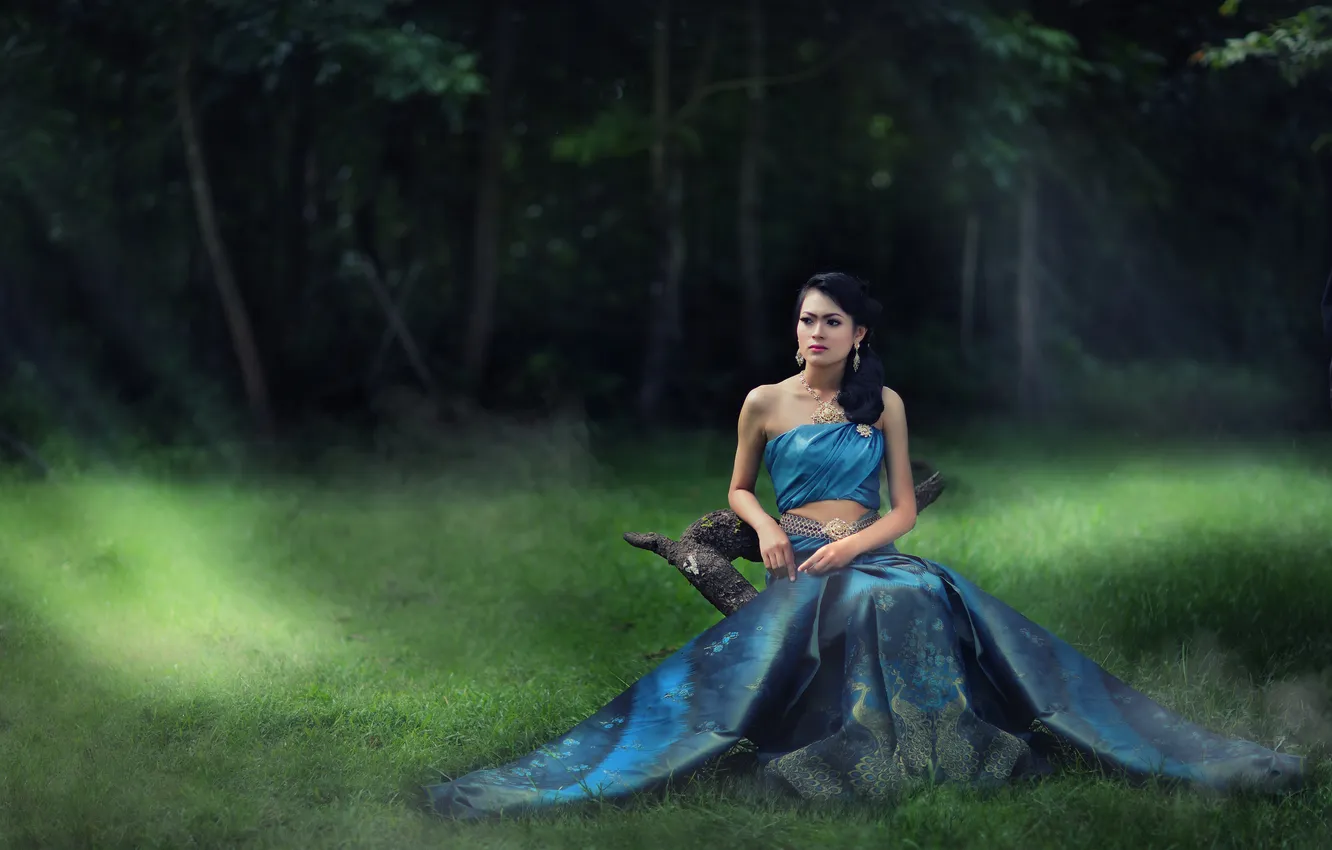 Photo wallpaper girl, decoration, nature, dress, sitting