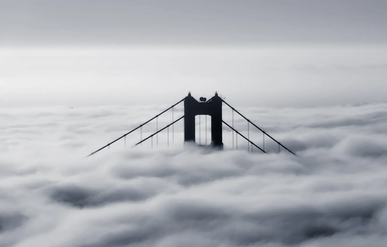 Photo wallpaper bridge, fog, photo, black and white