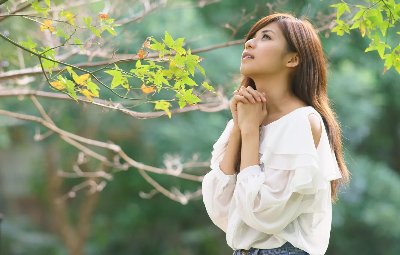 Photo wallpaper leaves, branches, pose, bokeh, well