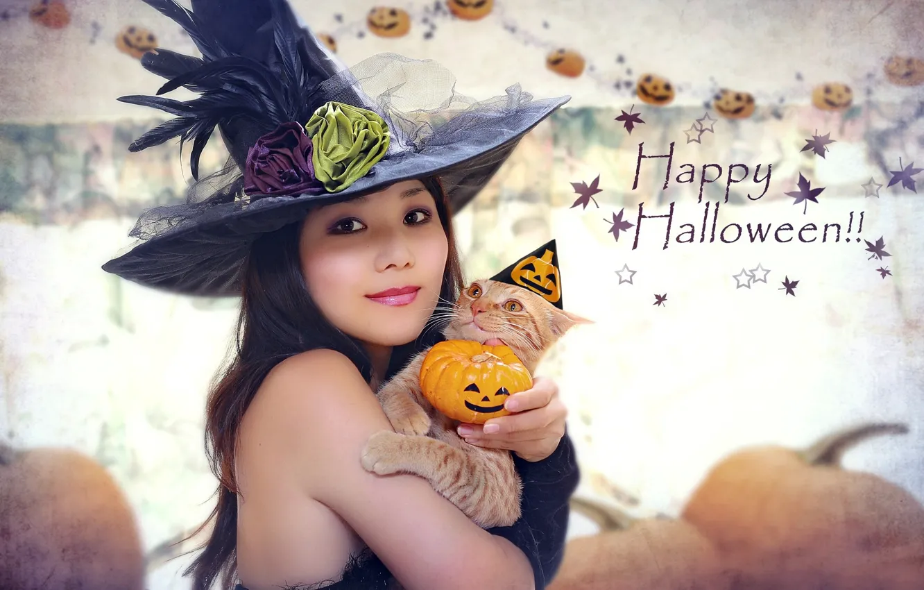 Photo wallpaper cat, girl, hat, costume, pumpkin, Asian, Halloween
