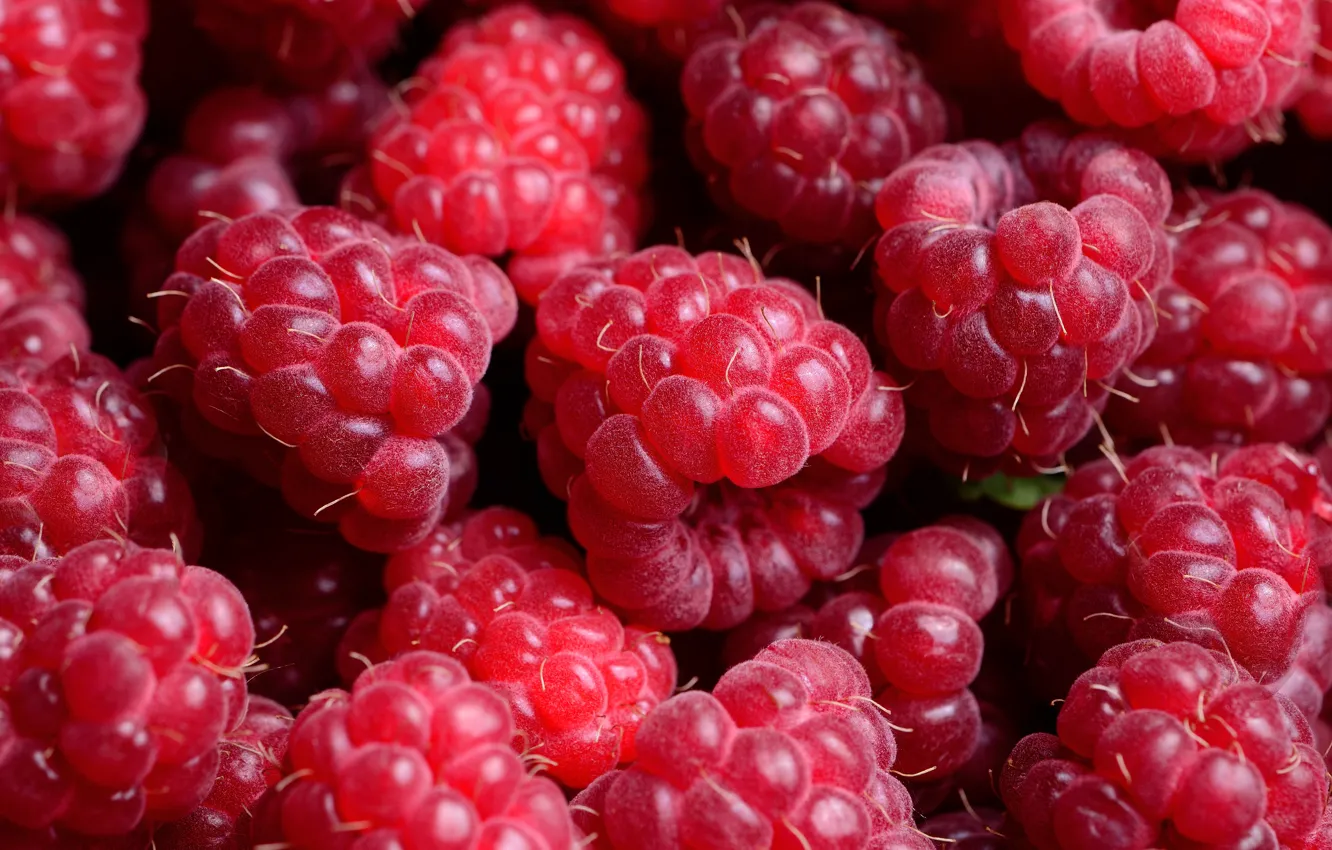 Photo wallpaper berries, raspberry, background, background, raspberry