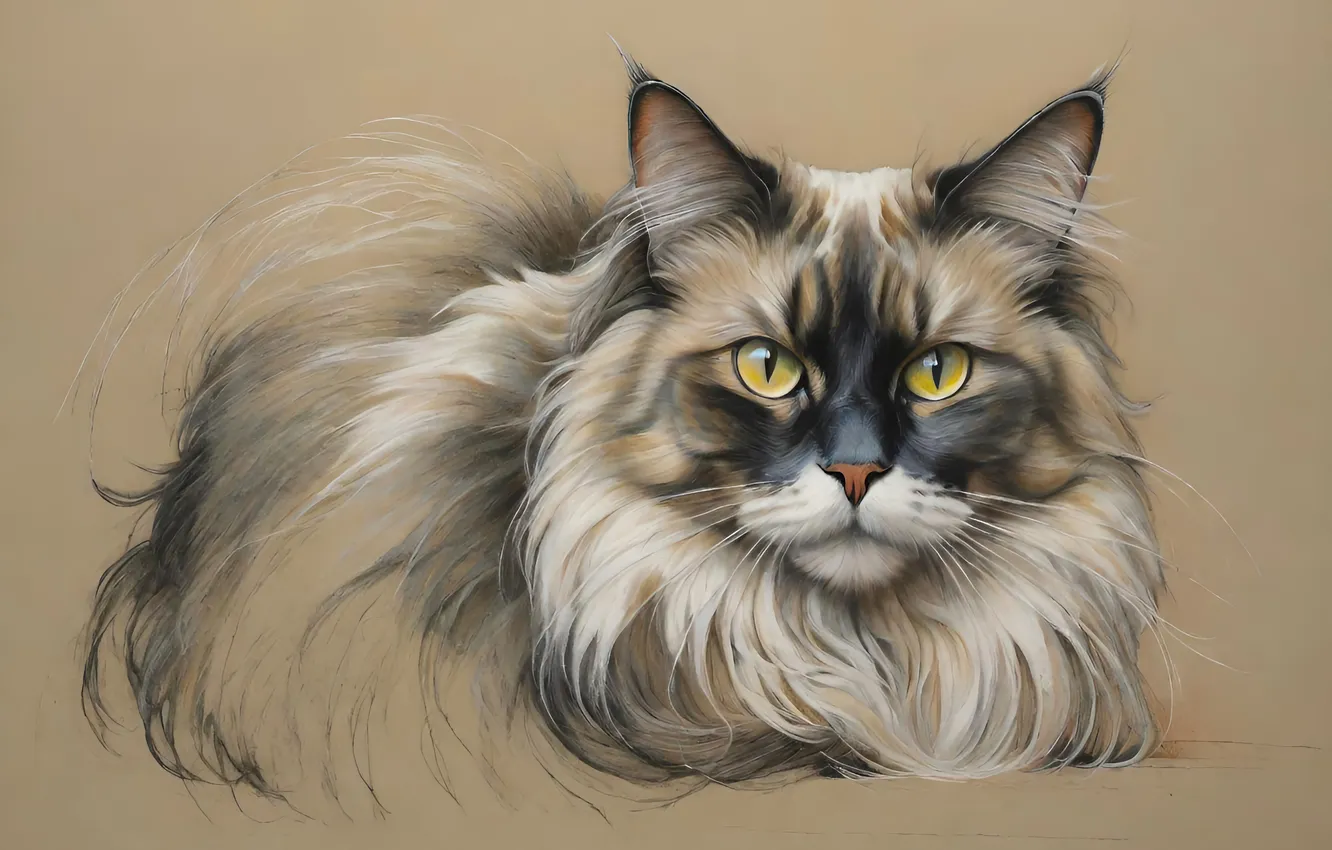 Photo wallpaper cat, cat, look, pose, figure, fluffy, face, yellow eyes