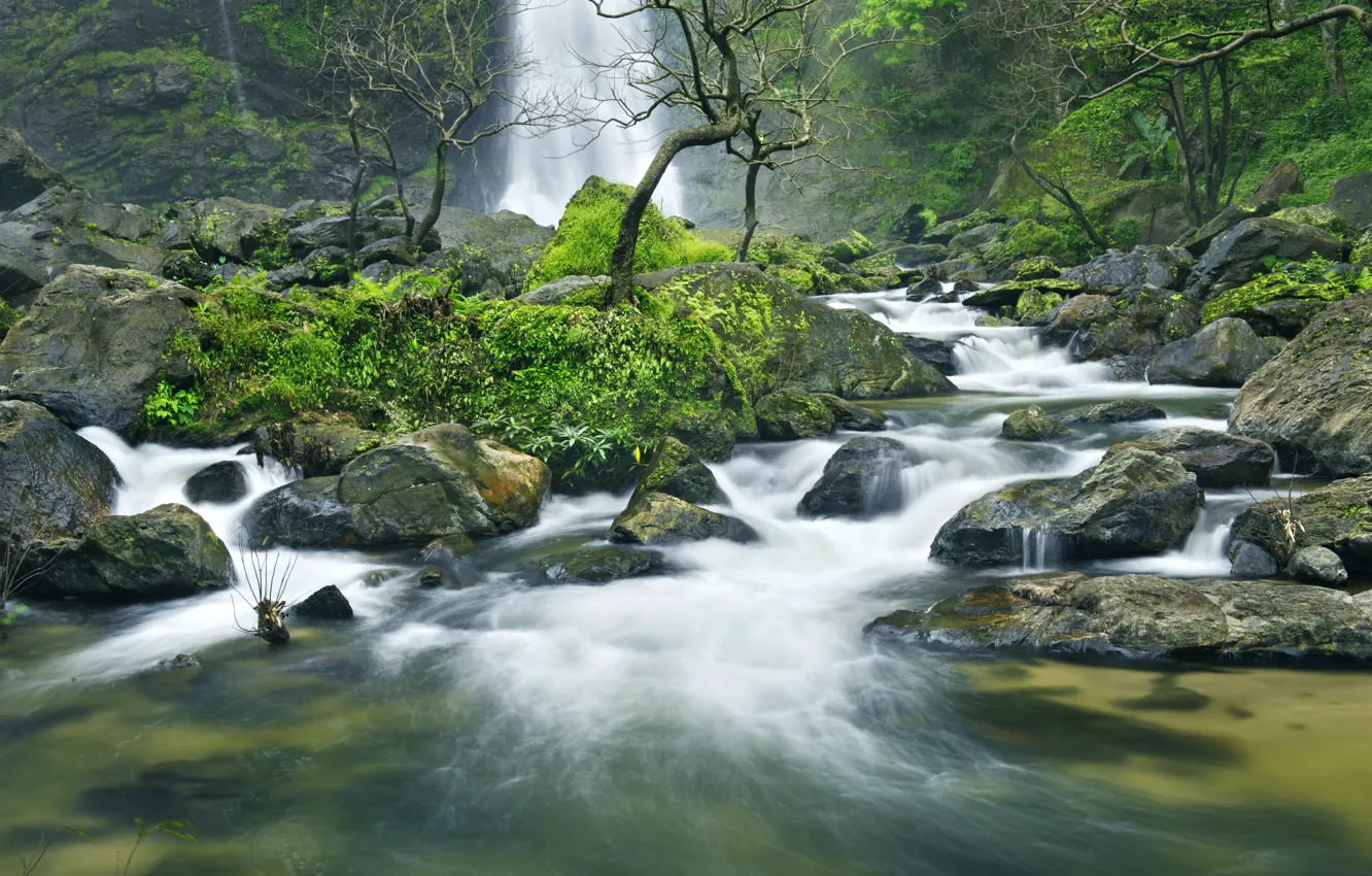 Photo wallpaper forest, landscape, river, rocks, waterfall, summer, forest, tropical