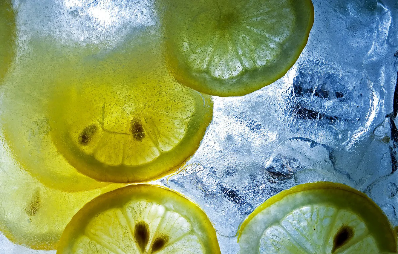 Photo wallpaper ice, macro, pieces, citrus, lemons