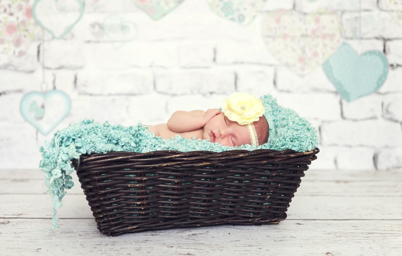 Photo wallpaper flowers, children, basket, baby, sleeping, girl, baby