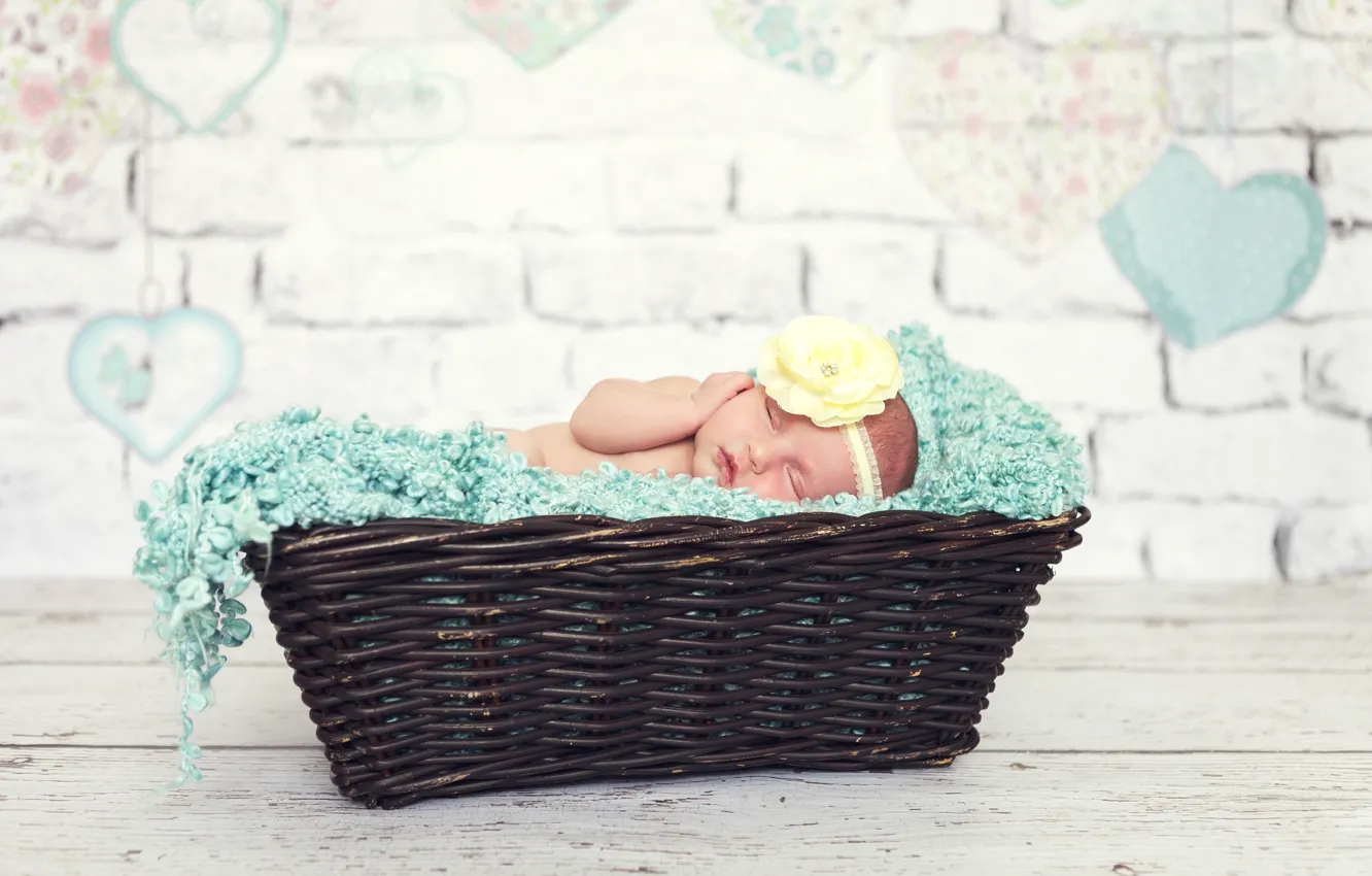 Photo wallpaper flower, basket, child, baby, sleeping, girl, baby