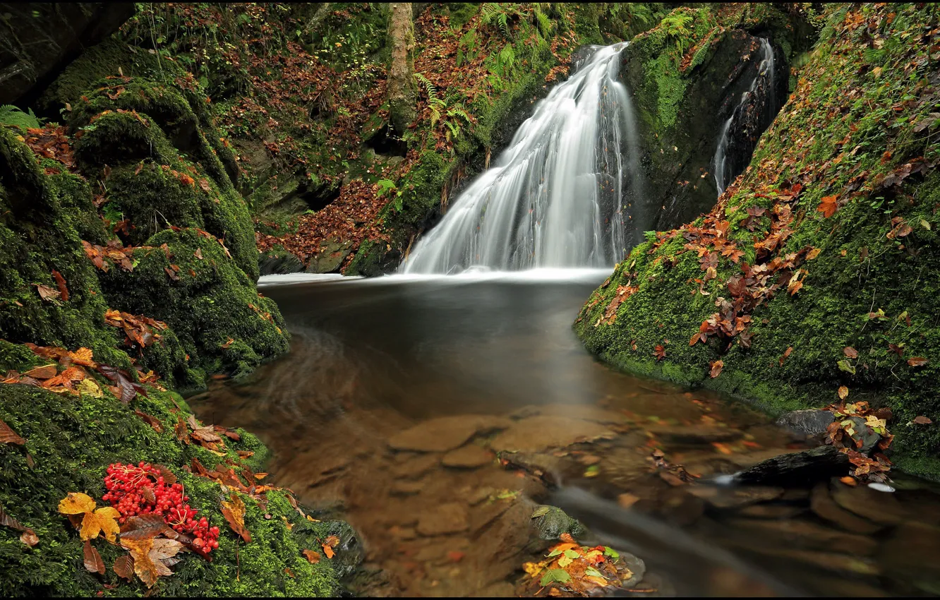 Photo wallpaper autumn, forest, waterfall, Germany, Germany, Rhineland-Palatinate