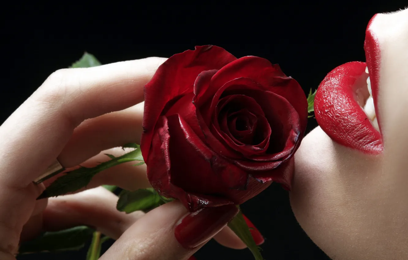 Photo wallpaper rose, lips, fingers