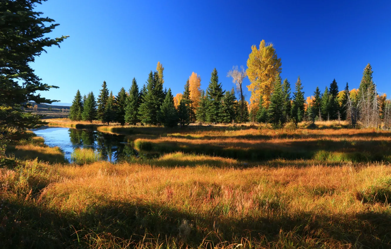 Photo wallpaper autumn, trees, mountains, river, Wyoming, USA, Grand Teton, Grand Teton National Park