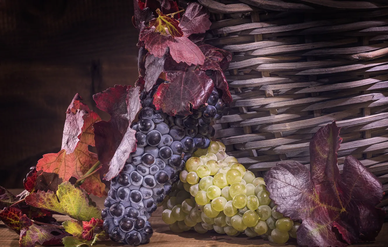 Photo wallpaper leaves, basket, grapes