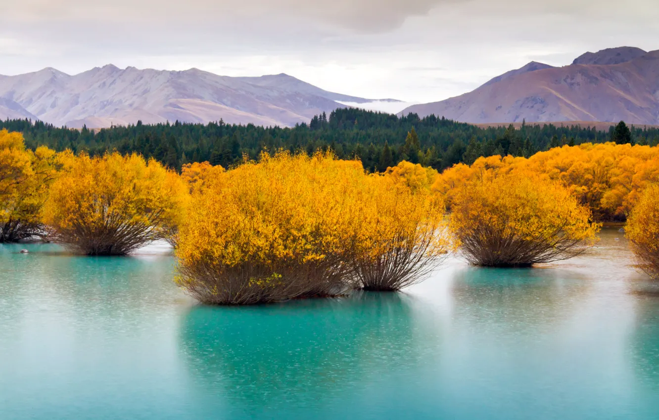 Photo wallpaper forest, landscape, mountains, lake, New Zealand, South island