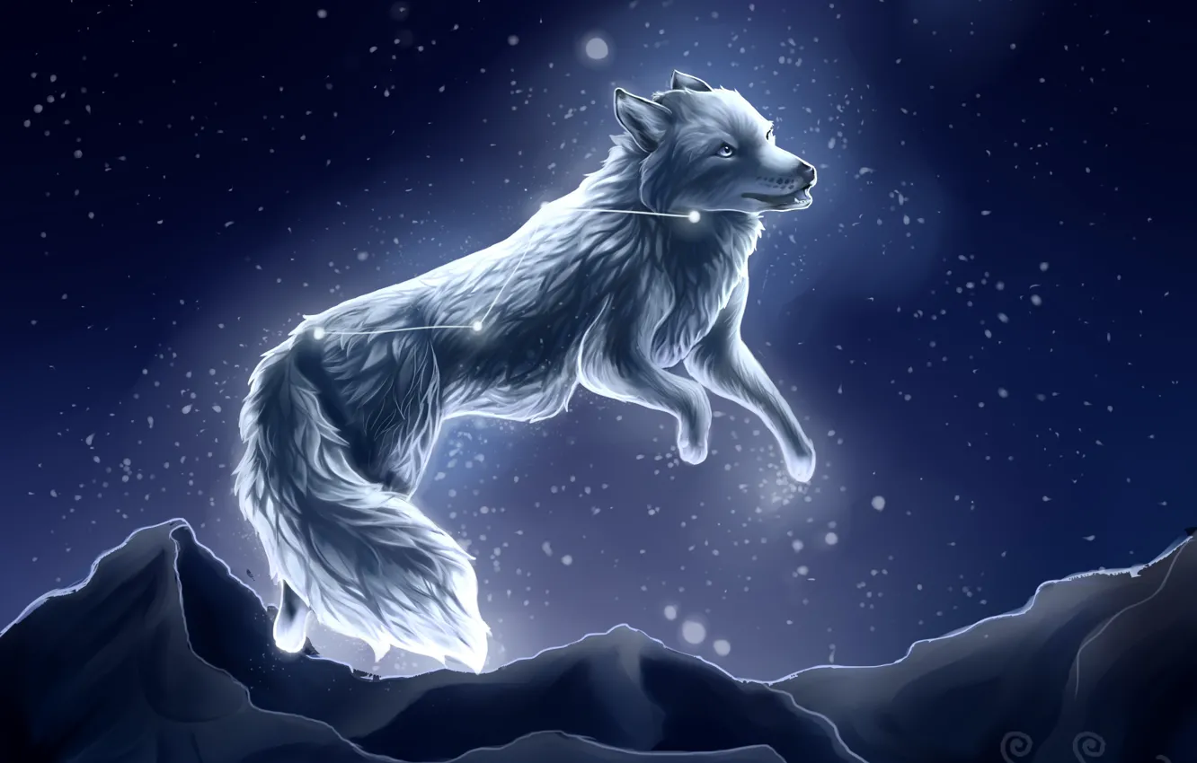 Photo wallpaper snow, night, wolf, by SnoSwirl
