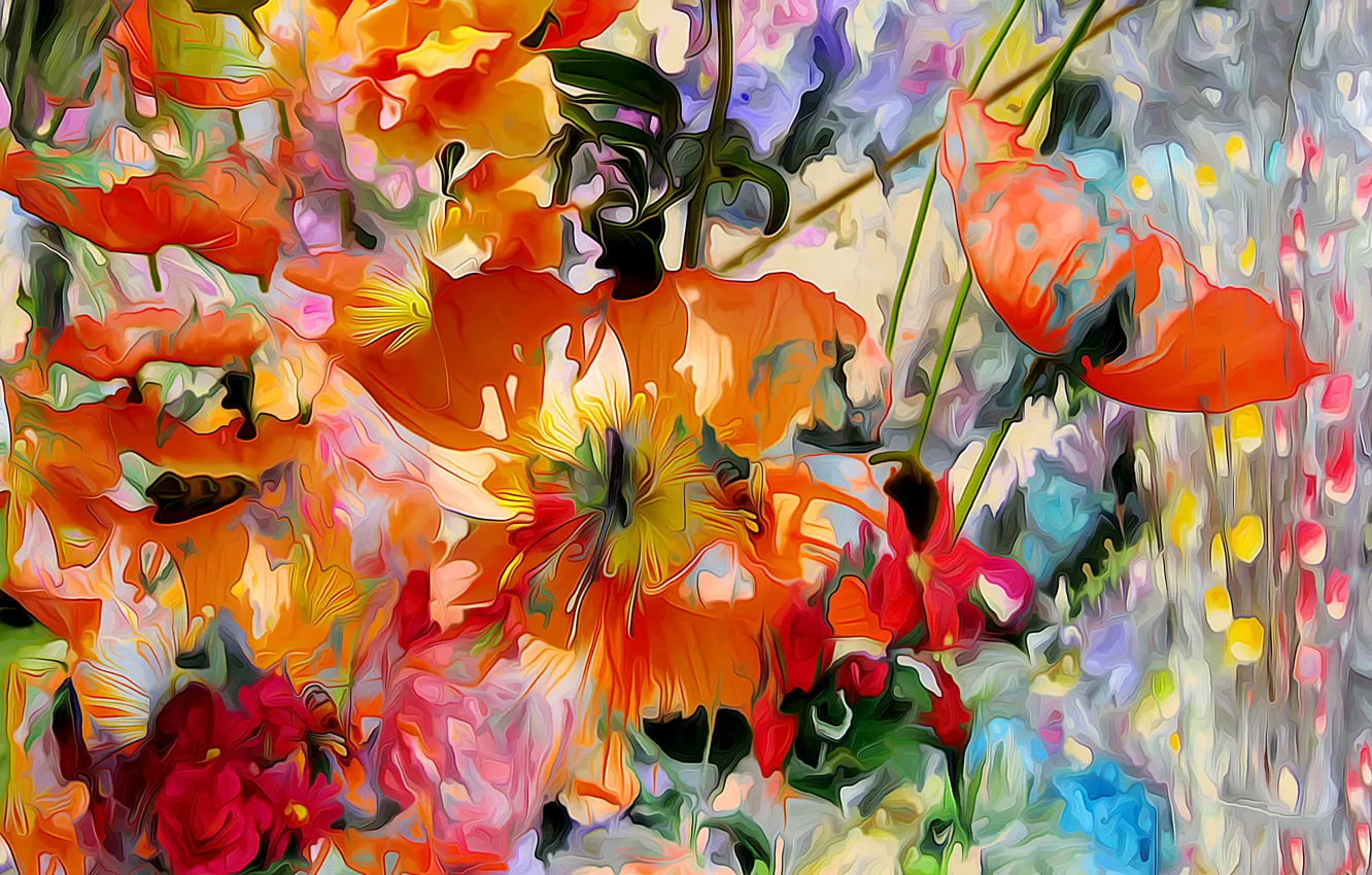 Photo wallpaper flowers, Mac, petals, garden, meadow