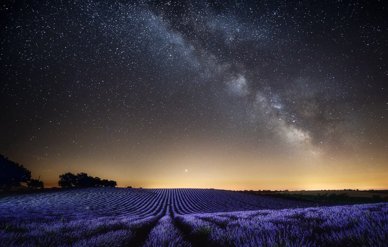 Photo wallpaper field, the sky, landscape, night, nature, France, stars, lavender