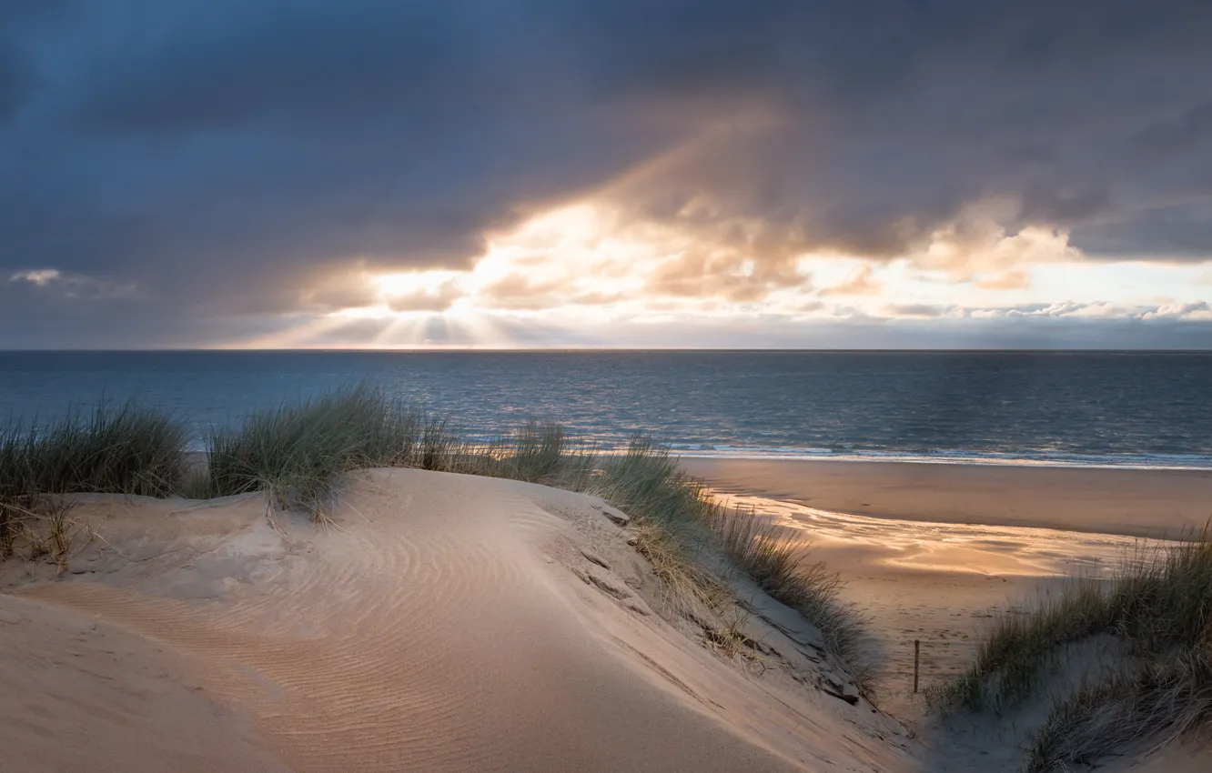 Photo wallpaper sea, beach, dunes