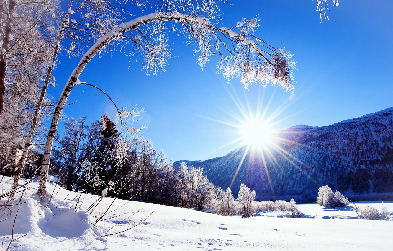 Photo wallpaper winter, the sun, snow, mountains, nature, tree