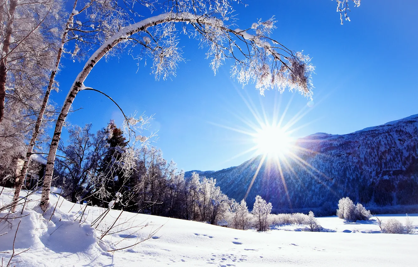 Photo wallpaper winter, the sun, snow, trees, mountains, nature