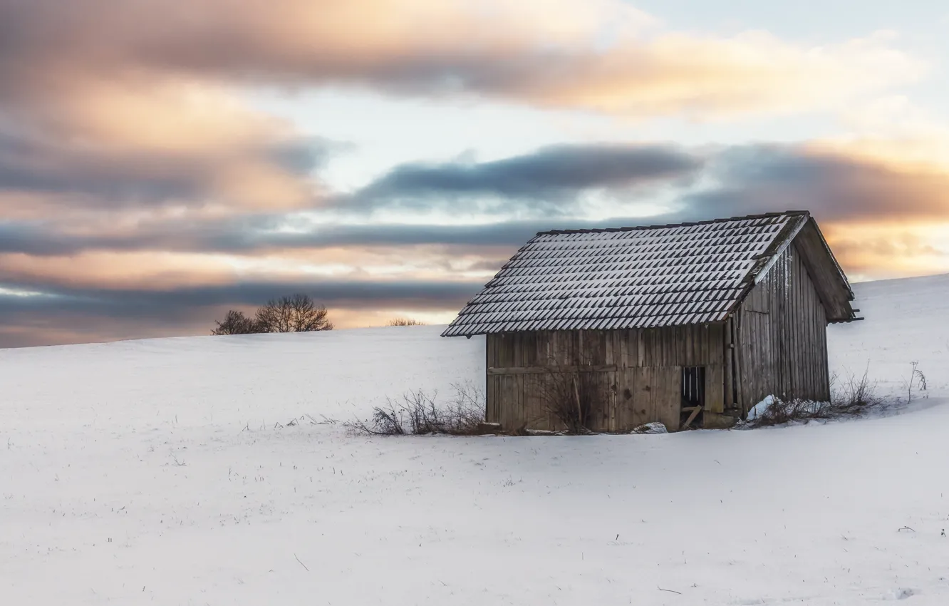 Photo wallpaper winter, field, home