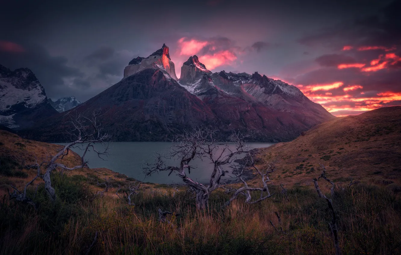 Photo wallpaper grass, mountains, shore, pond, Andes, Patagonia