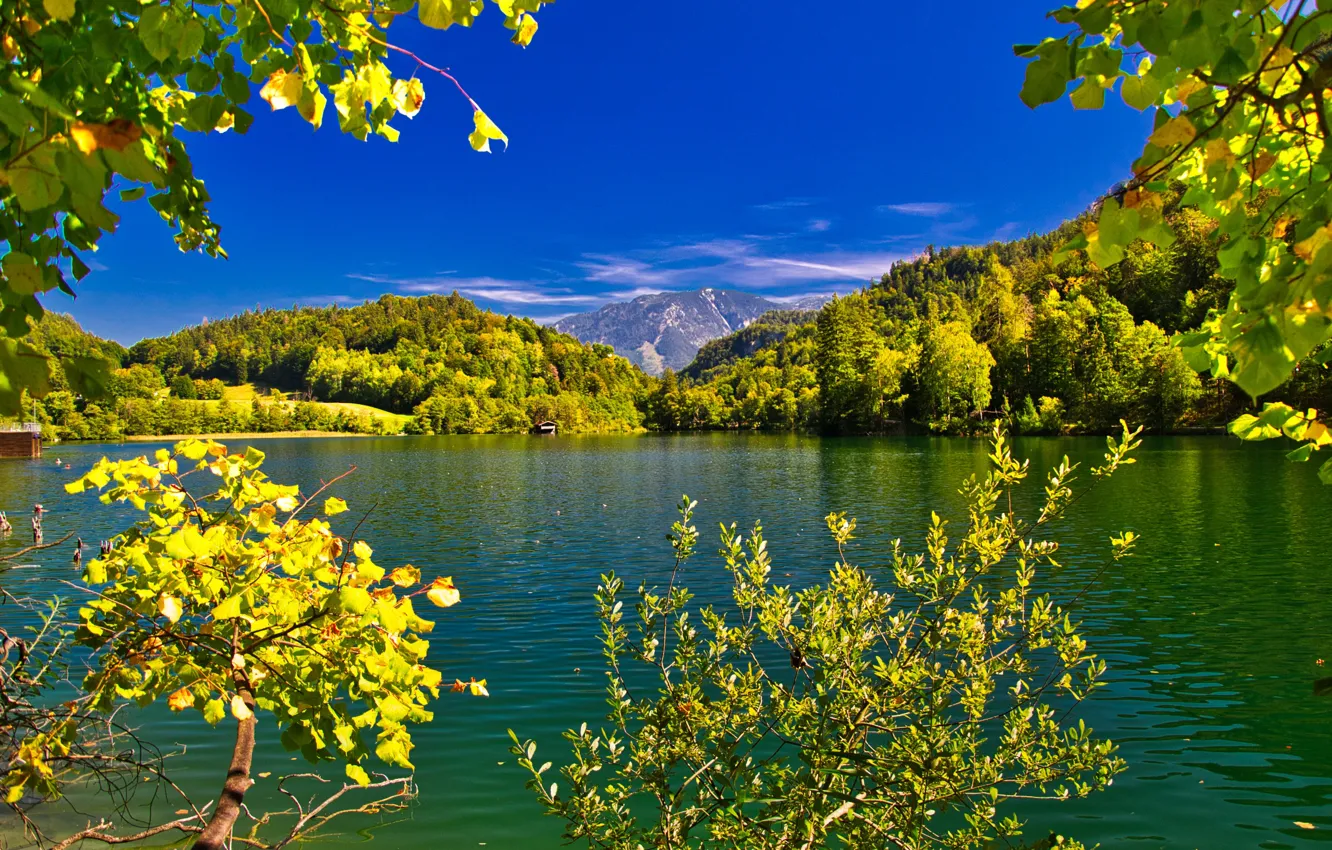 Photo wallpaper trees, landscape, mountains, branches, nature, lake, Germany, Bayern