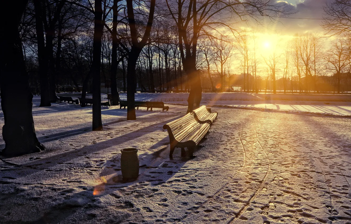 Photo wallpaper sunset, the city, Park, spring, bench