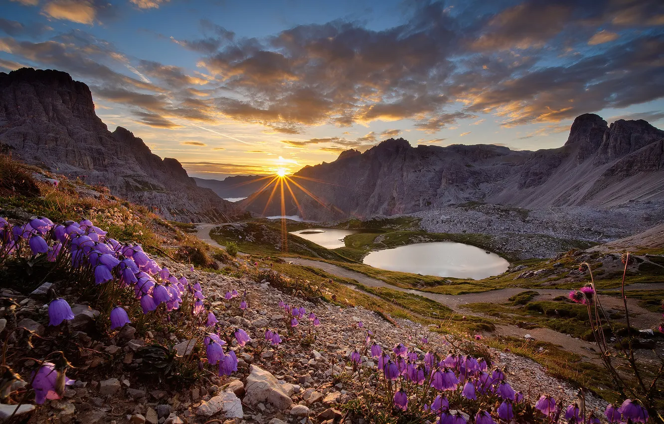 Photo wallpaper summer, the sky, the sun, clouds, rays, flowers, mountains, lake