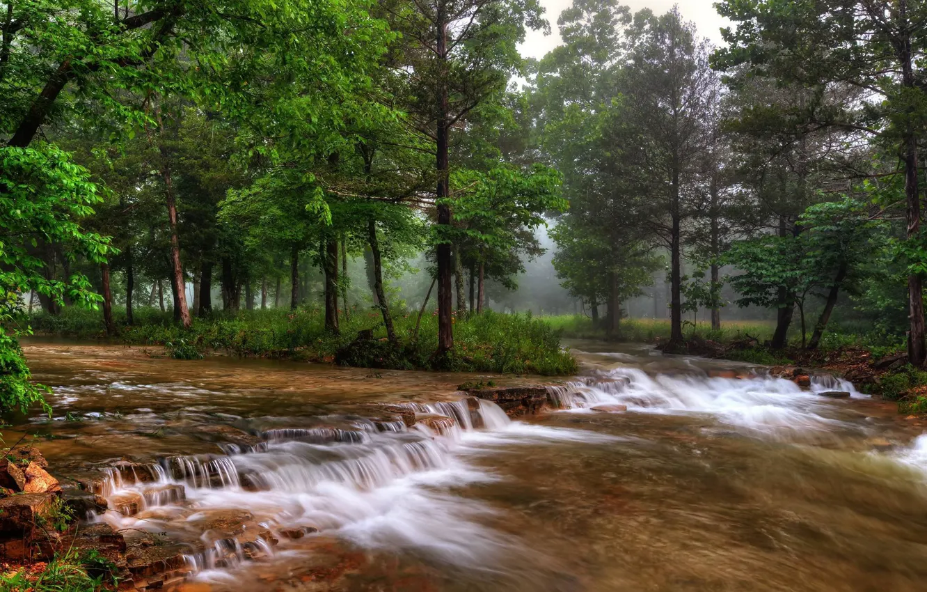 Photo wallpaper forest, trees, nature, fog, river, Missouri, USA