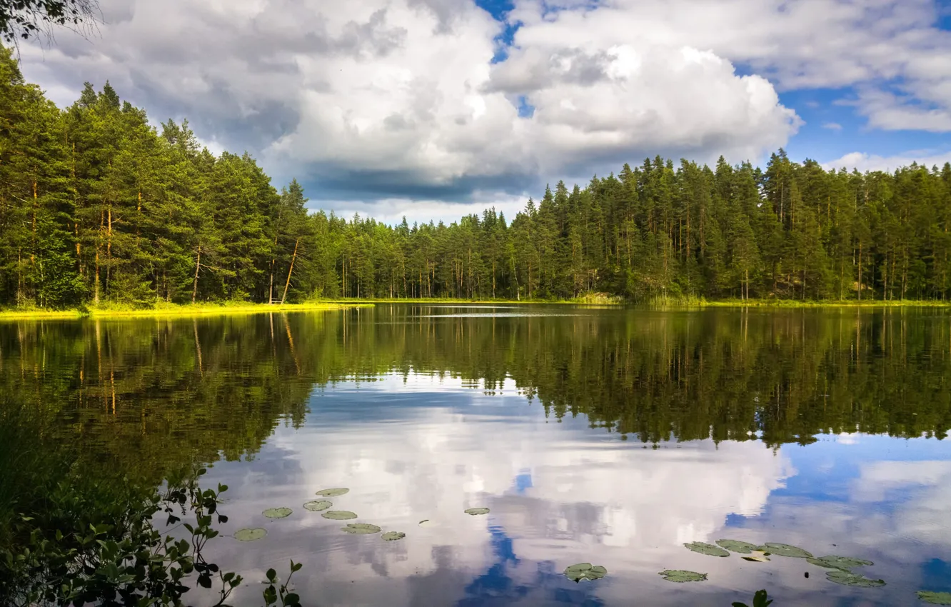 Photo wallpaper greens, forest, the sky, water, clouds, trees, lake, reflection