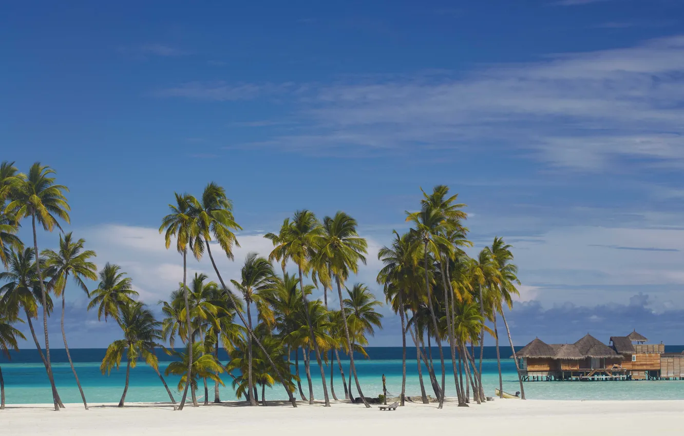 Photo wallpaper palm trees, the ocean, Bungalow, white sand, Maldives, resort, Gili Lankanfushi
