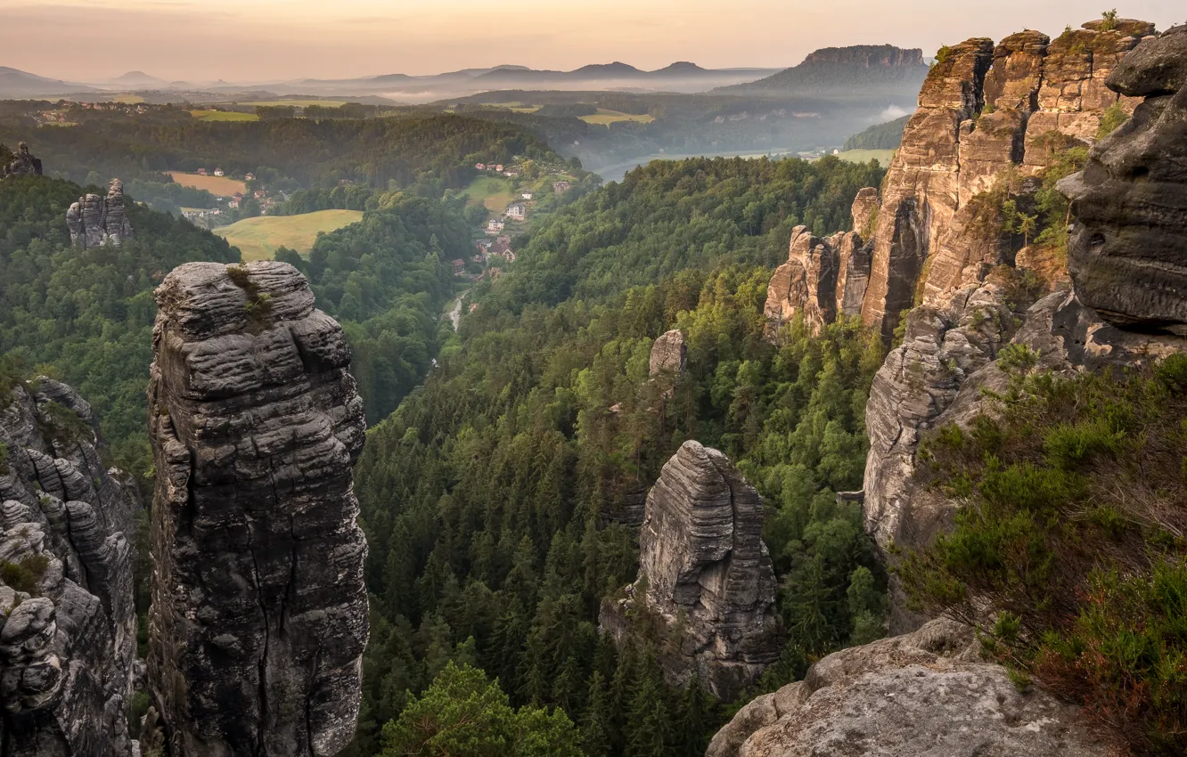 Photo wallpaper forest, mountains, Park, Germany, Saxon Switzerland Park
