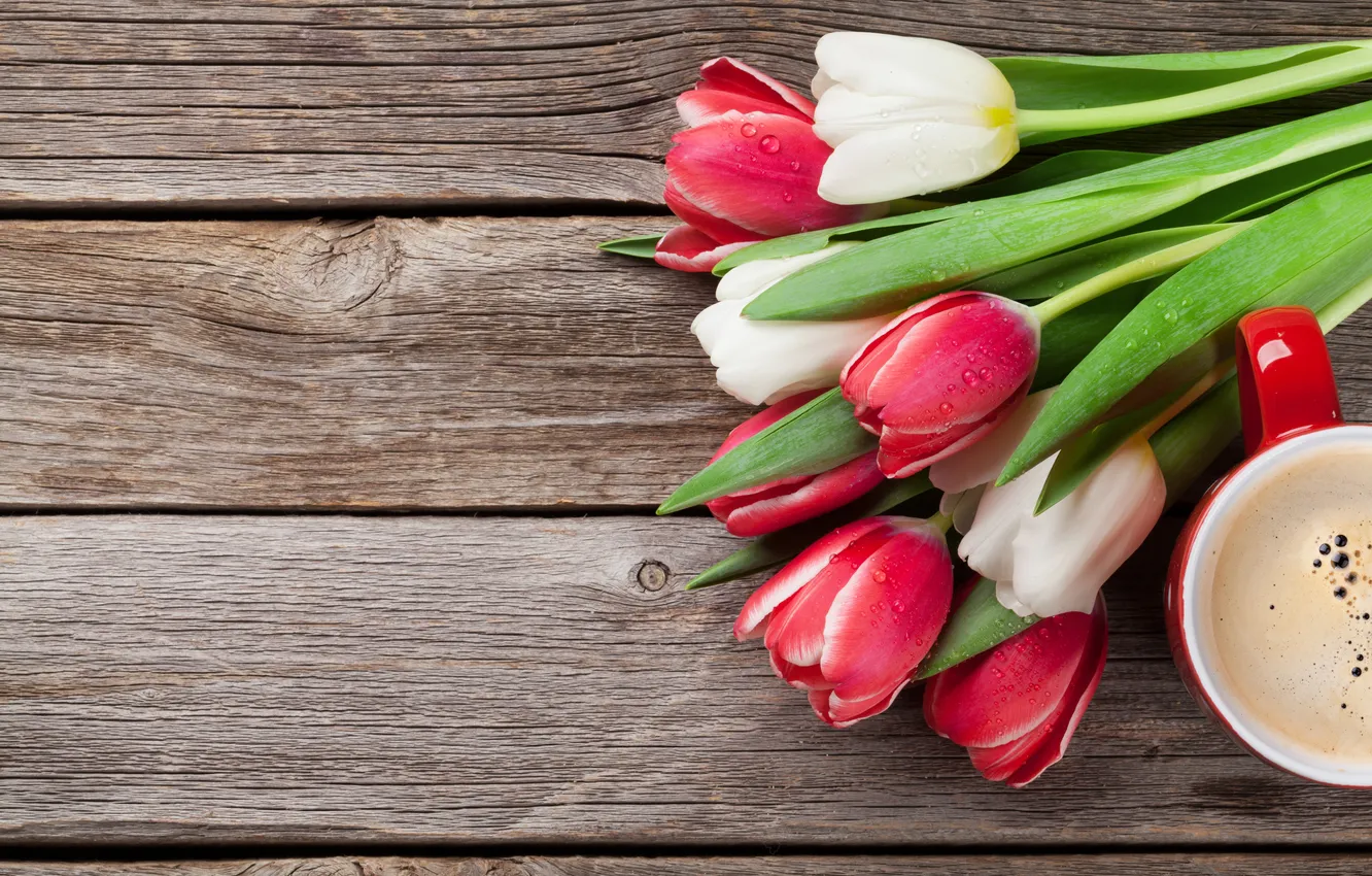 Photo wallpaper flowers, bouquet, tulips, red, white, wood, flowers, tulips
