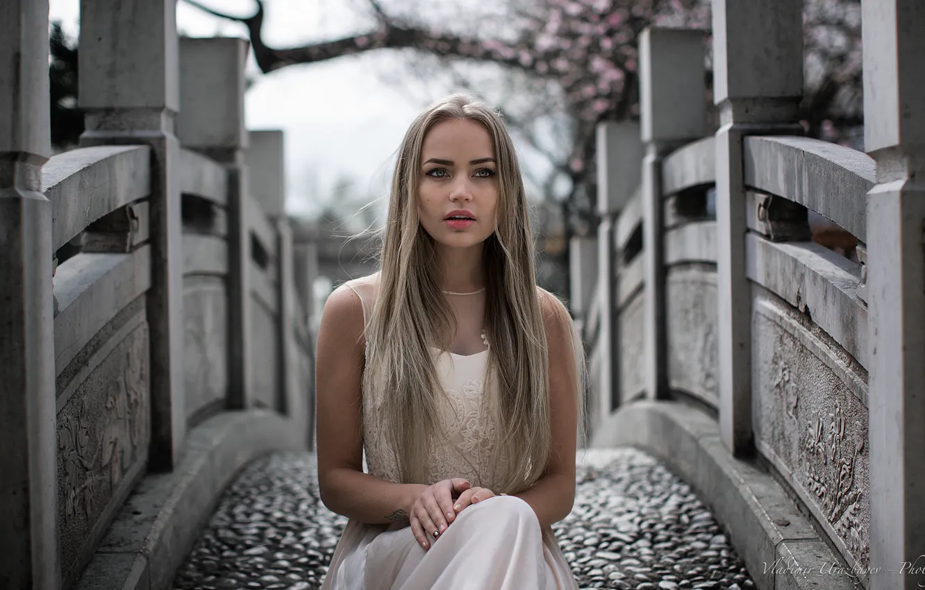 Photo wallpaper girl, long hair, dress, bridge, photo, photographer, blue eyes, model