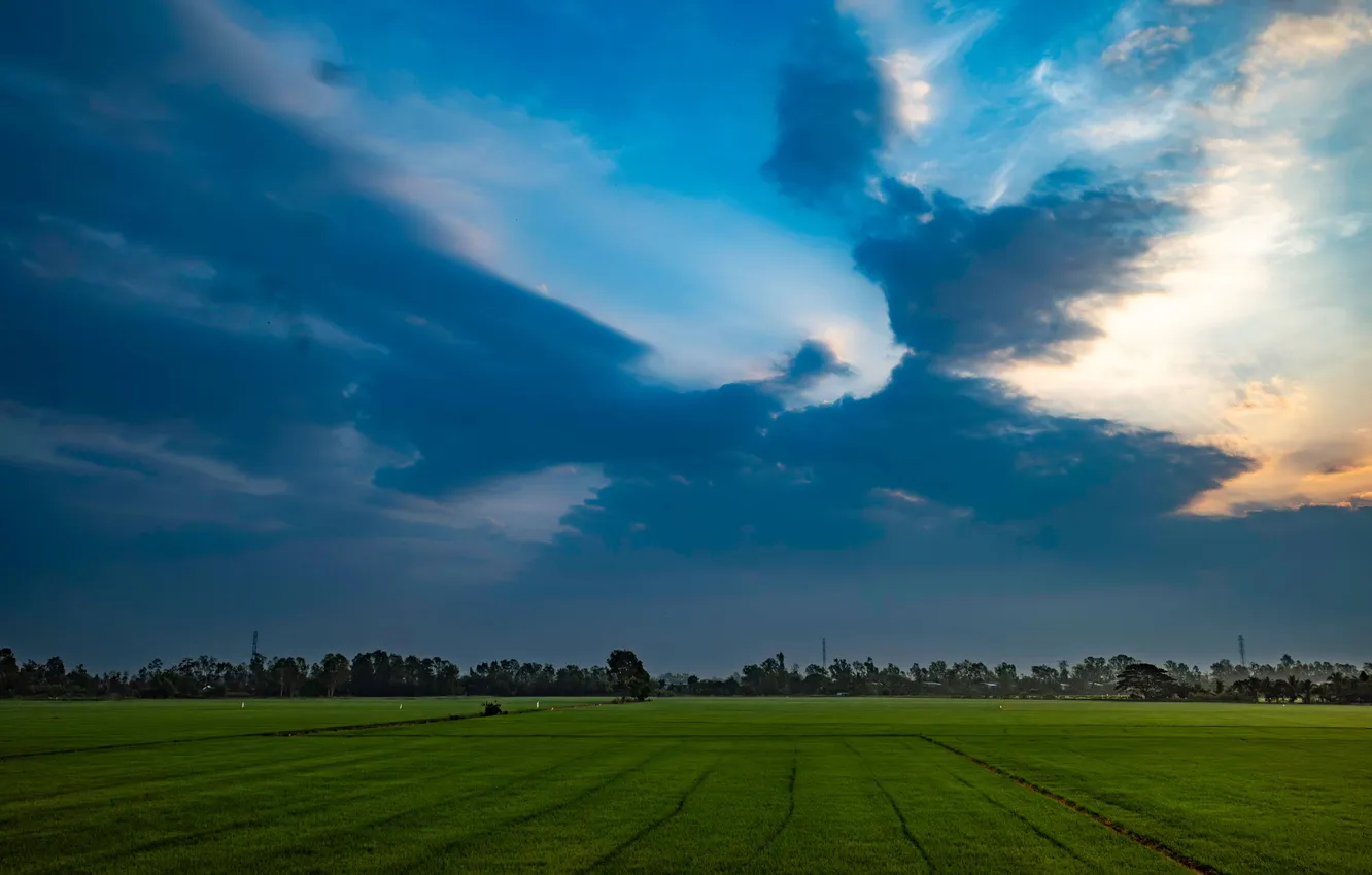 Photo wallpaper wallpaper, nature, High Definition