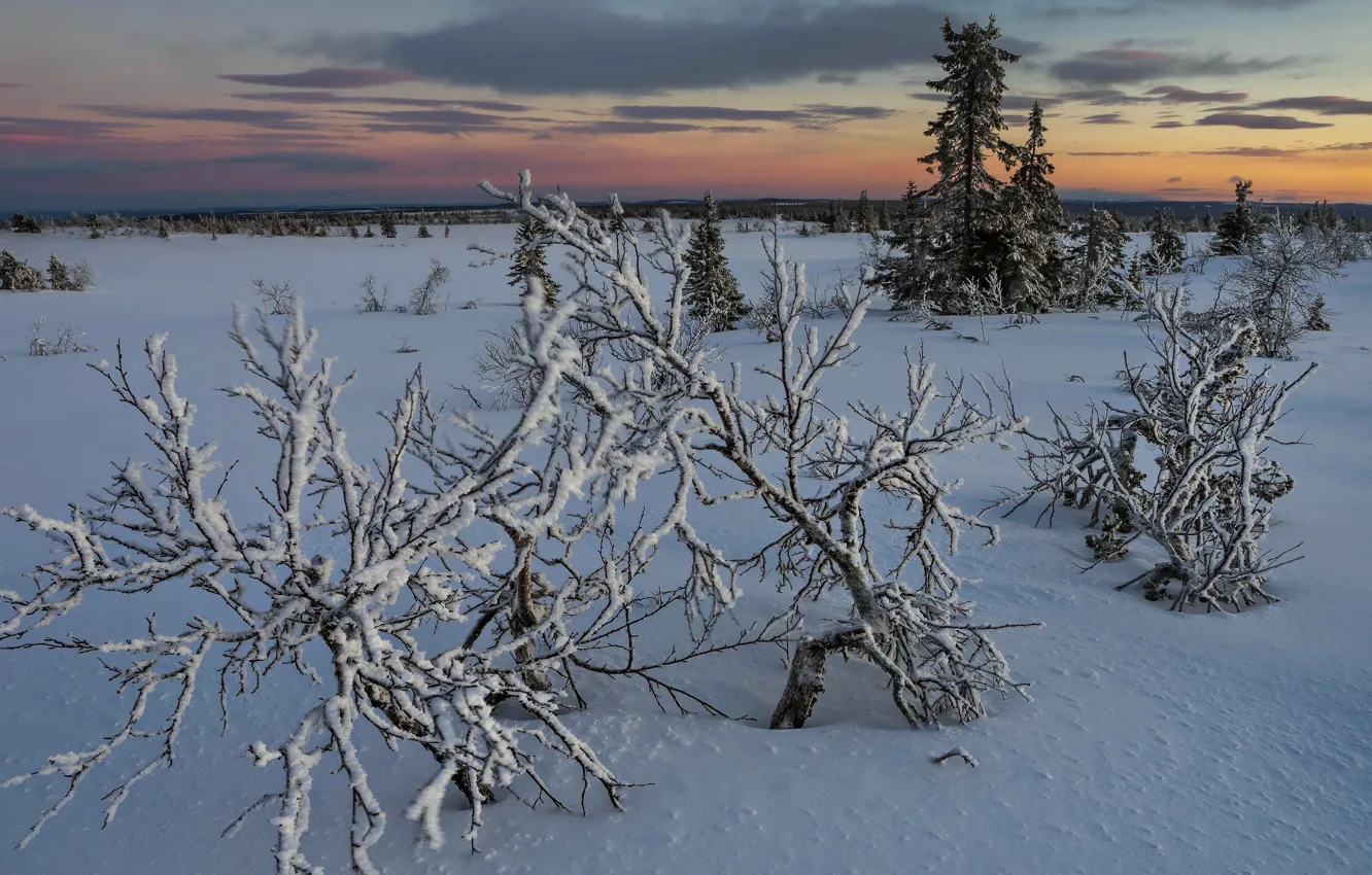 Photo wallpaper winter, snow, sunset